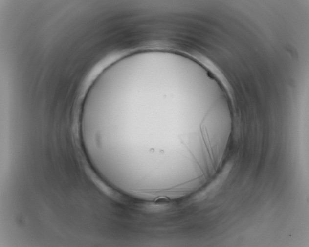 X0000113891437200910151325