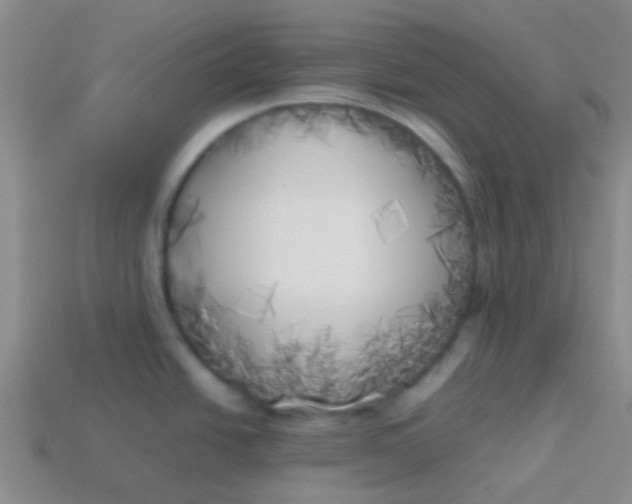 X0000113891438200910151325