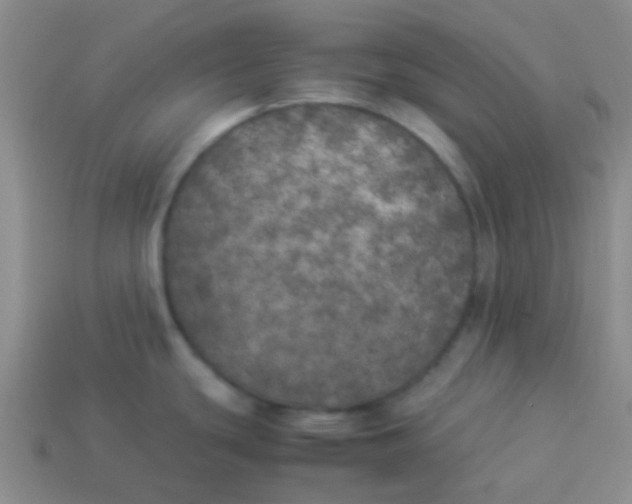 X0000113891439200910151325