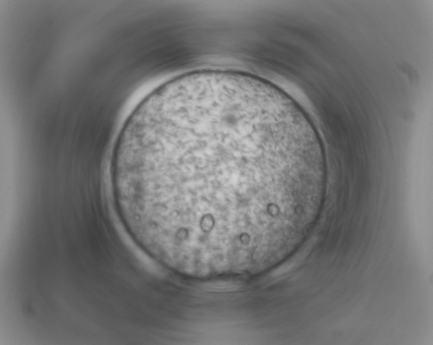 X0000113891440200910151325