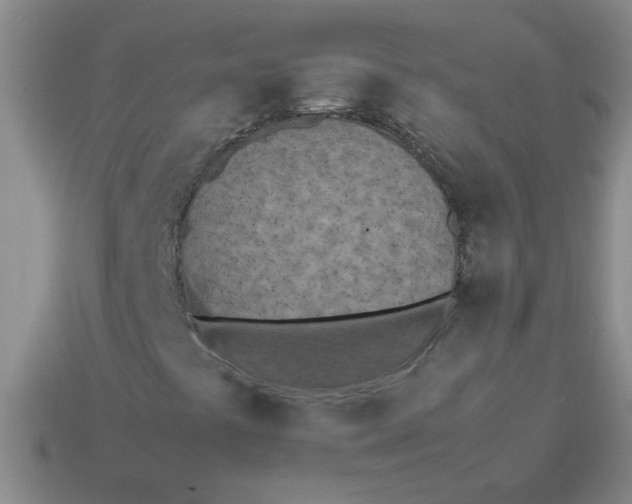 X0000113891441200910151324