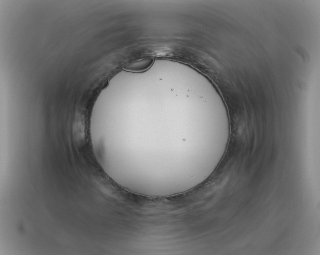 X0000113891442200910151324