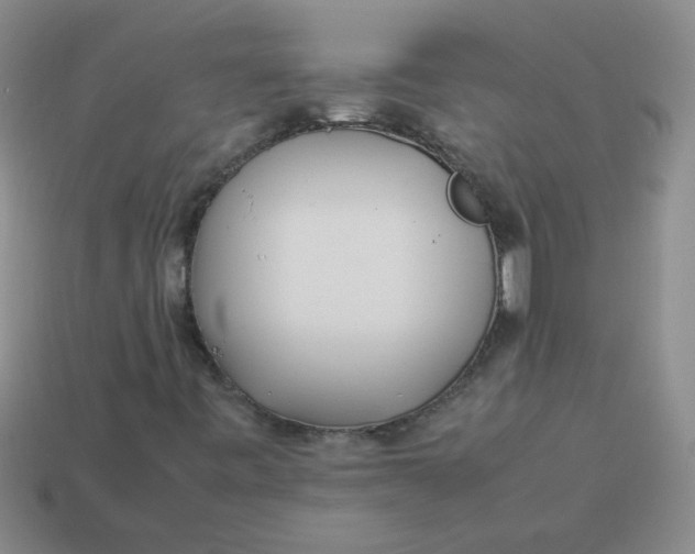 X0000113891443200910151324