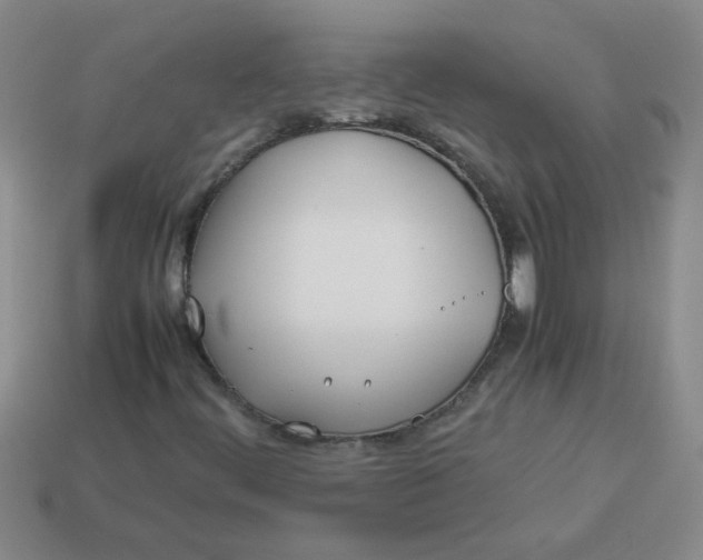 X0000113891444200910151324