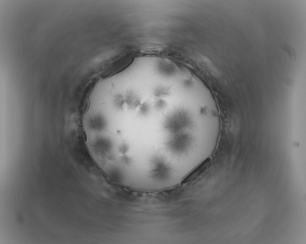 X0000113891445200910151324