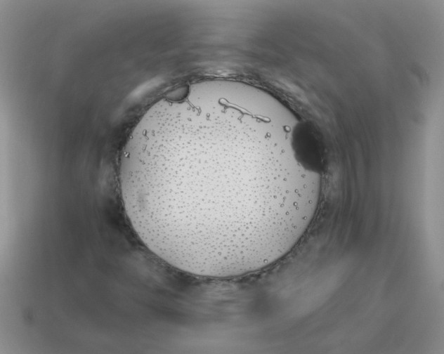 X0000113891446200910151324