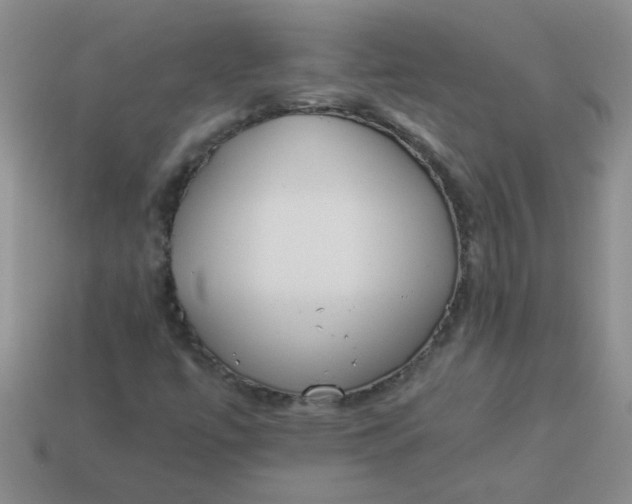 X0000113891447200910151324