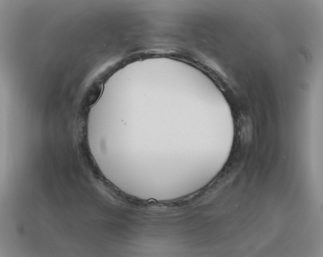 X0000113891448200910151324