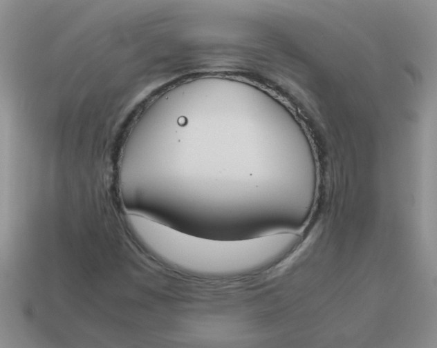 X0000113891449200910151324