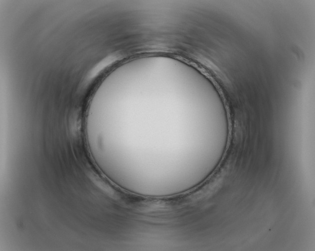 X0000113891450200910151324