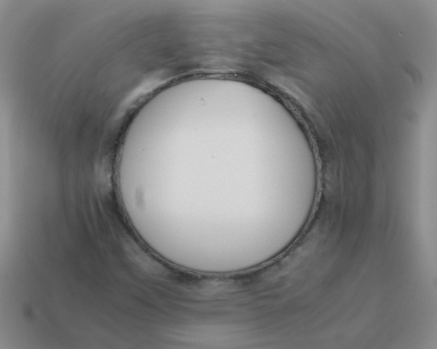 X0000113891451200910151324