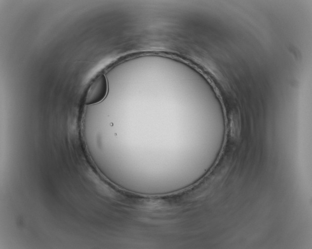 X0000113891452200910151324