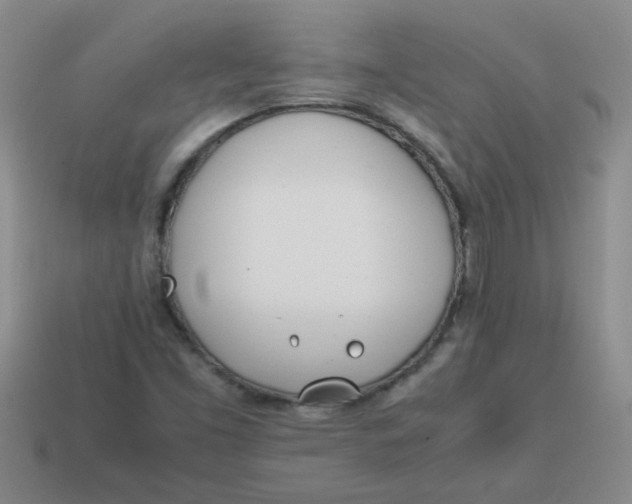 X0000113891453200910151324