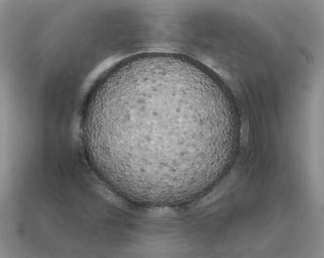 X0000113891454200910151324