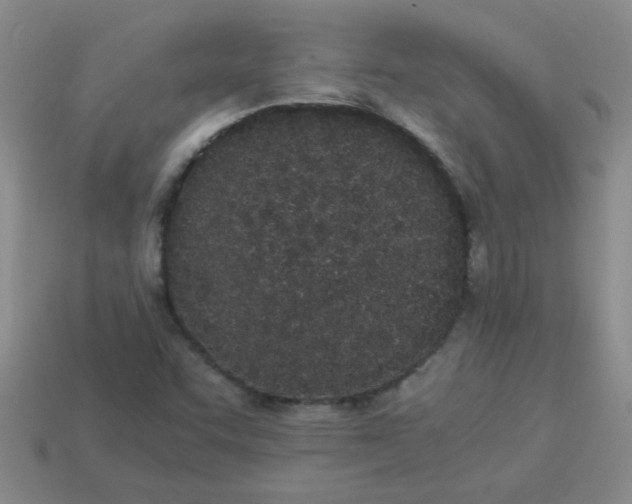 X0000113891455200910151324