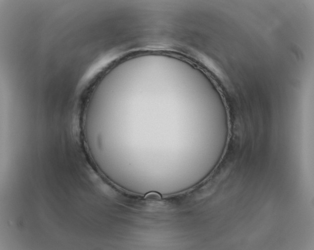 X0000113891456200910151324