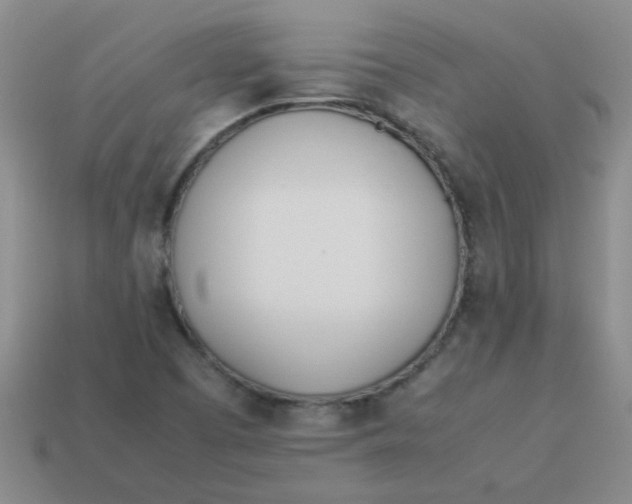 X0000113891457200910151324