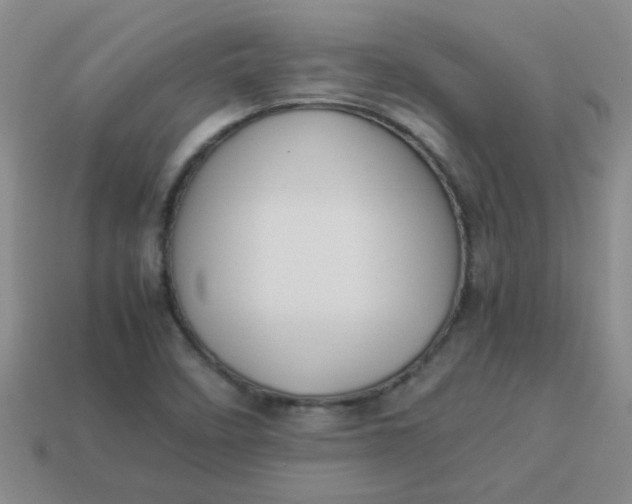 X0000113891458200910151324