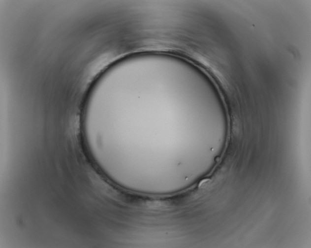 X0000113891459200910151324