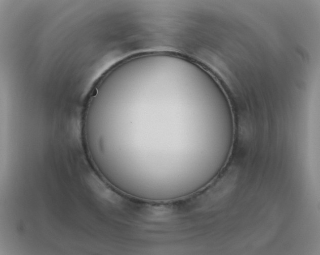 X0000113891460200910151324