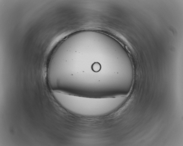 X0000113891461200910151324