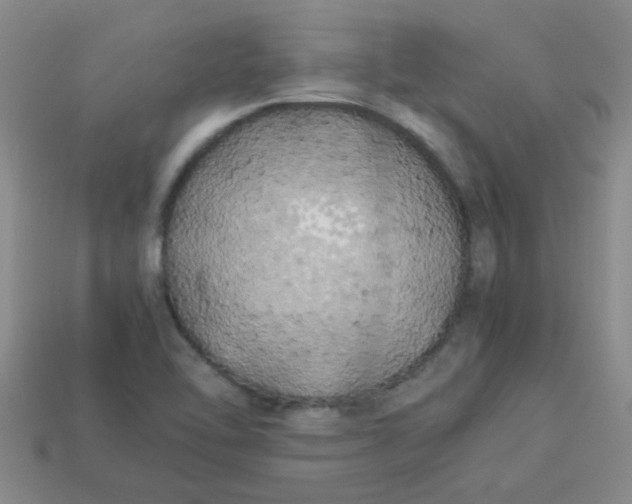 X0000113891462200910151324