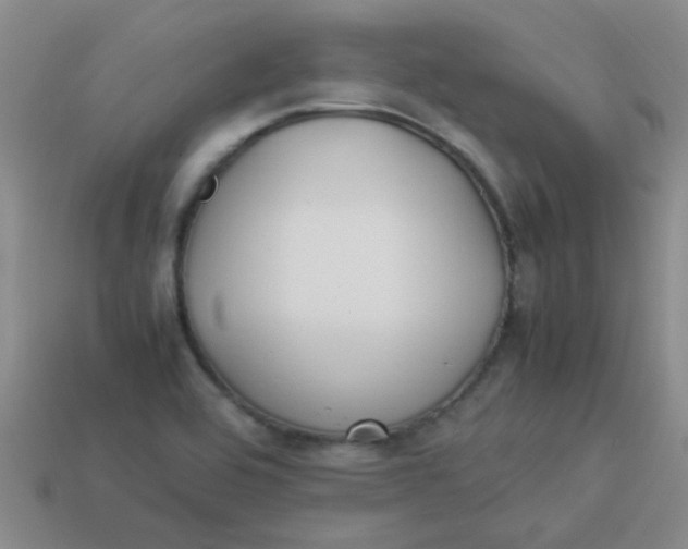 X0000113891464200910151324