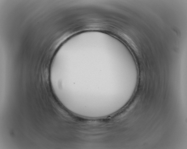 X0000113891465200910151324