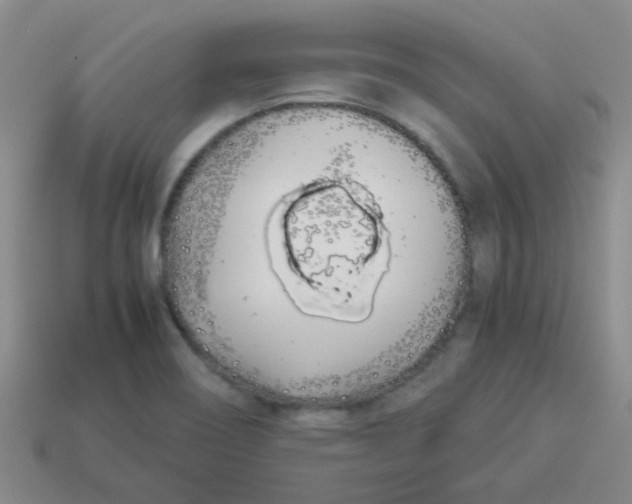 X0000113891466200910151324