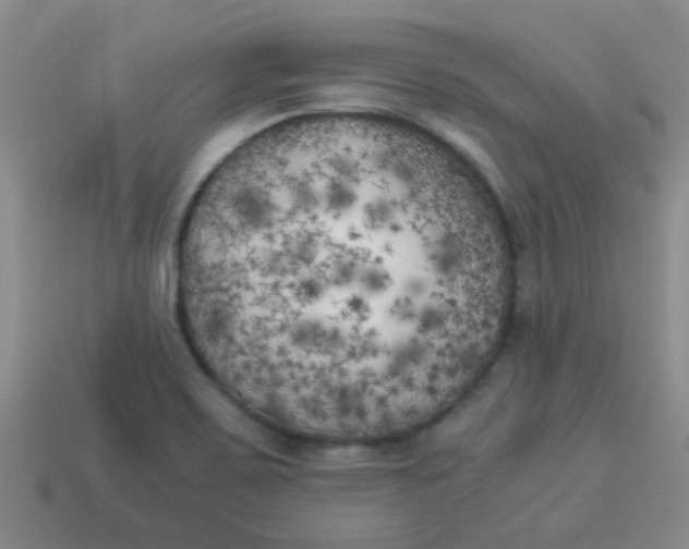 X0000113891467200910151324