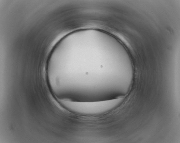 X0000113891468200910151324