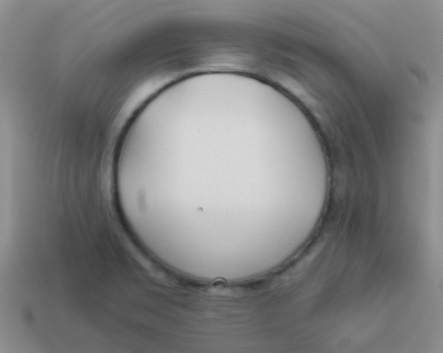 X0000113891469200910151324