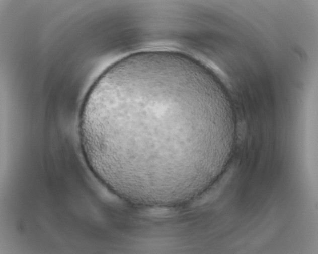 X0000113891470200910151324