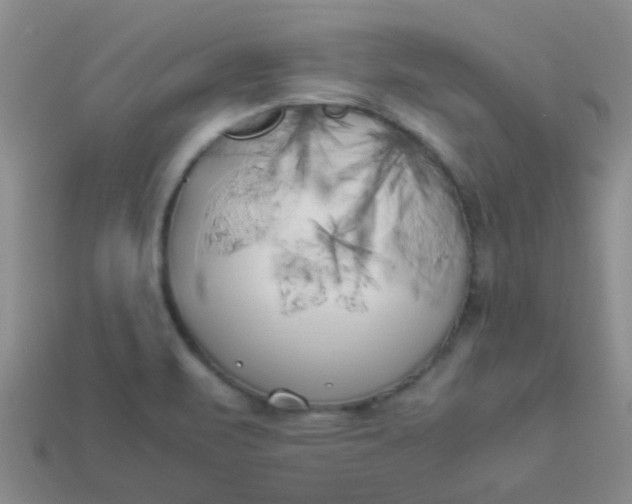 X0000113891471200910151324