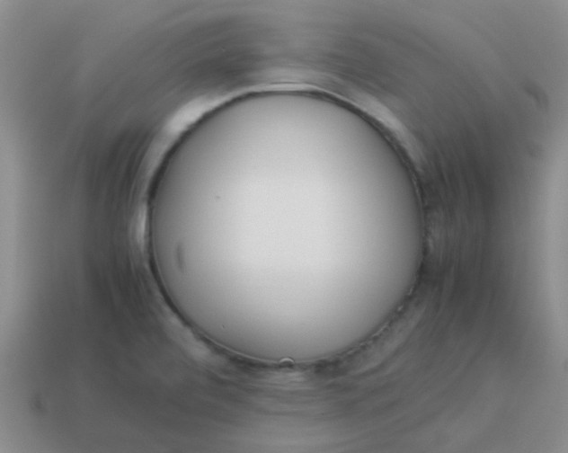 X0000113891472200910151324