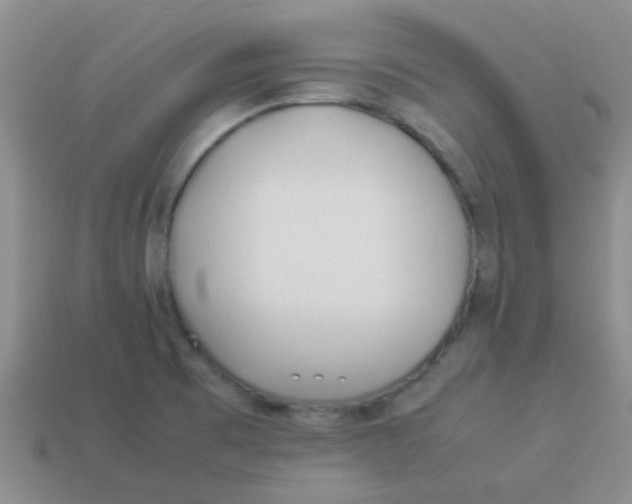 X0000113891473200910151324