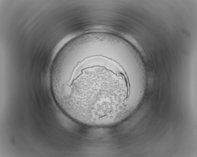 X0000113891474200910151324