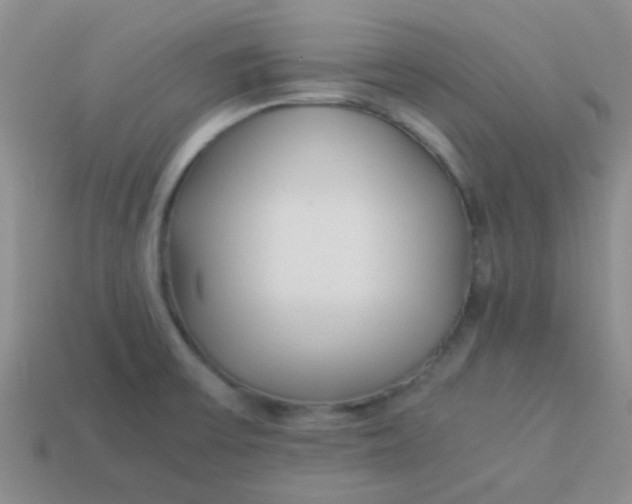 X0000113891475200910151324