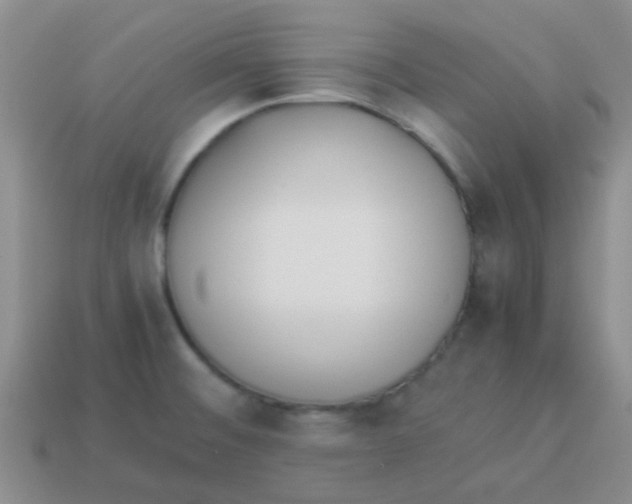 X0000113891476200910151324