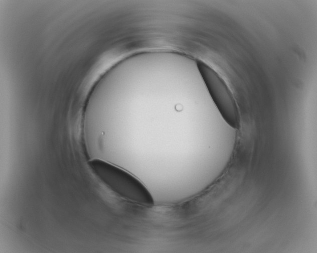 X0000113891477200910151324