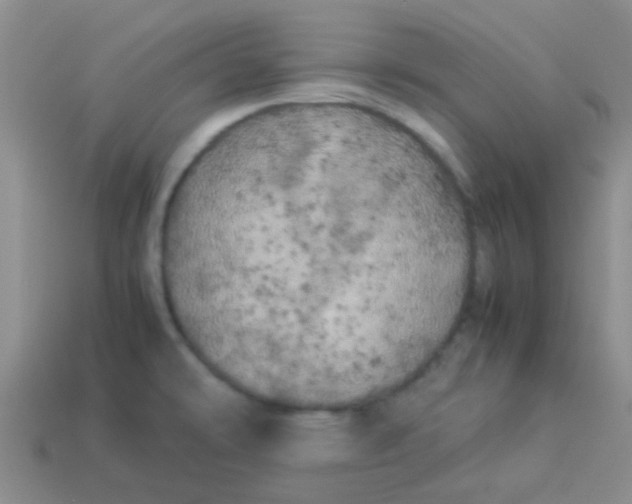 X0000113891478200910151324