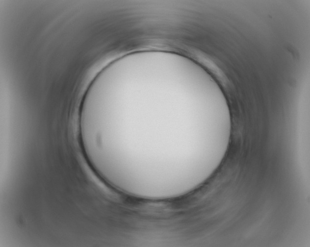 X0000113891479200910151324