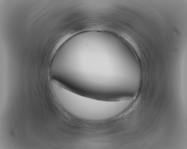 X0000113891481200910151324