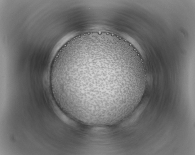 X0000113891482200910151324