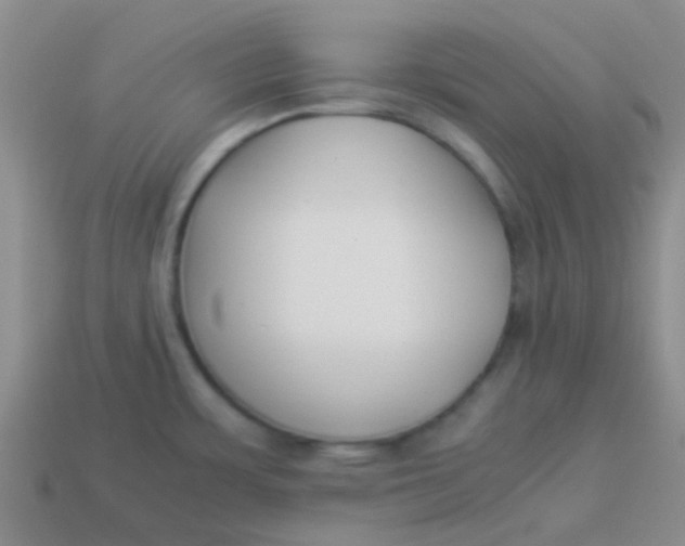 X0000113891483200910151324