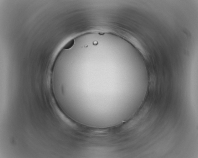 X0000113891484200910151324