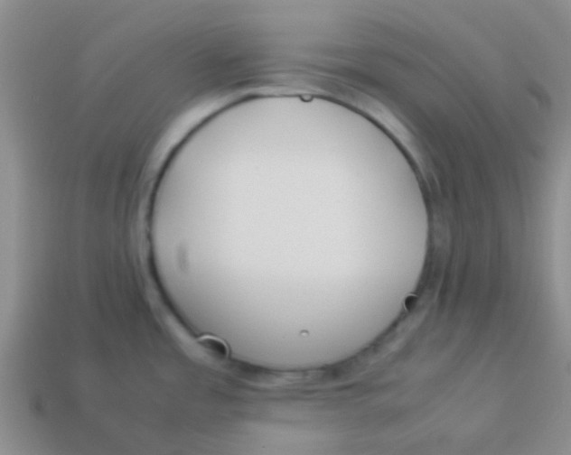 X0000113891485200910151324