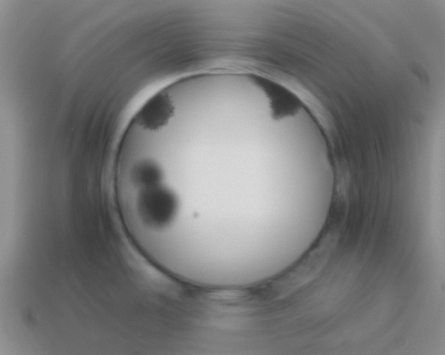 X0000113891486200910151324