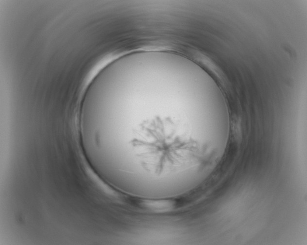 X0000113891487200910151324