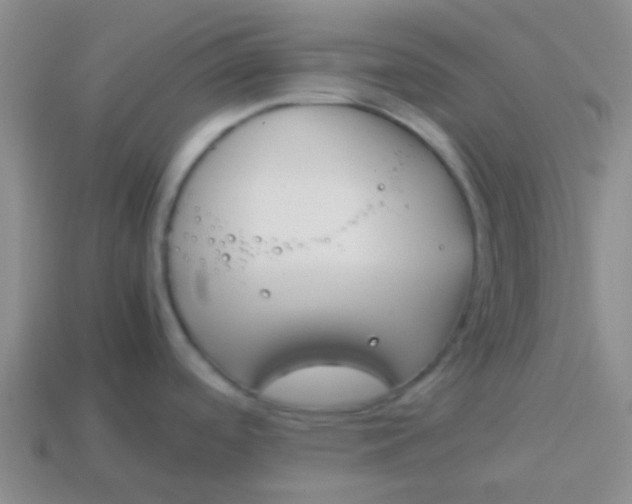 X0000113891488200910151324